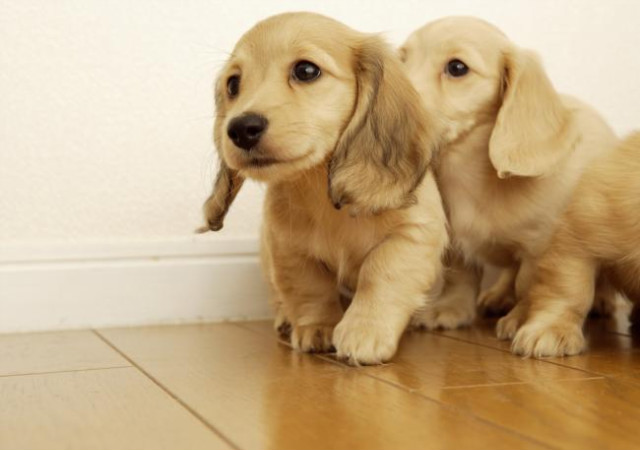 Sweet ;3 