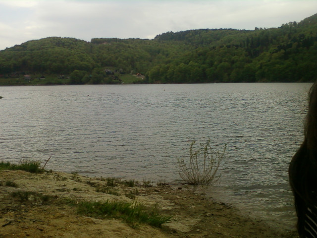 kochaj ycie 