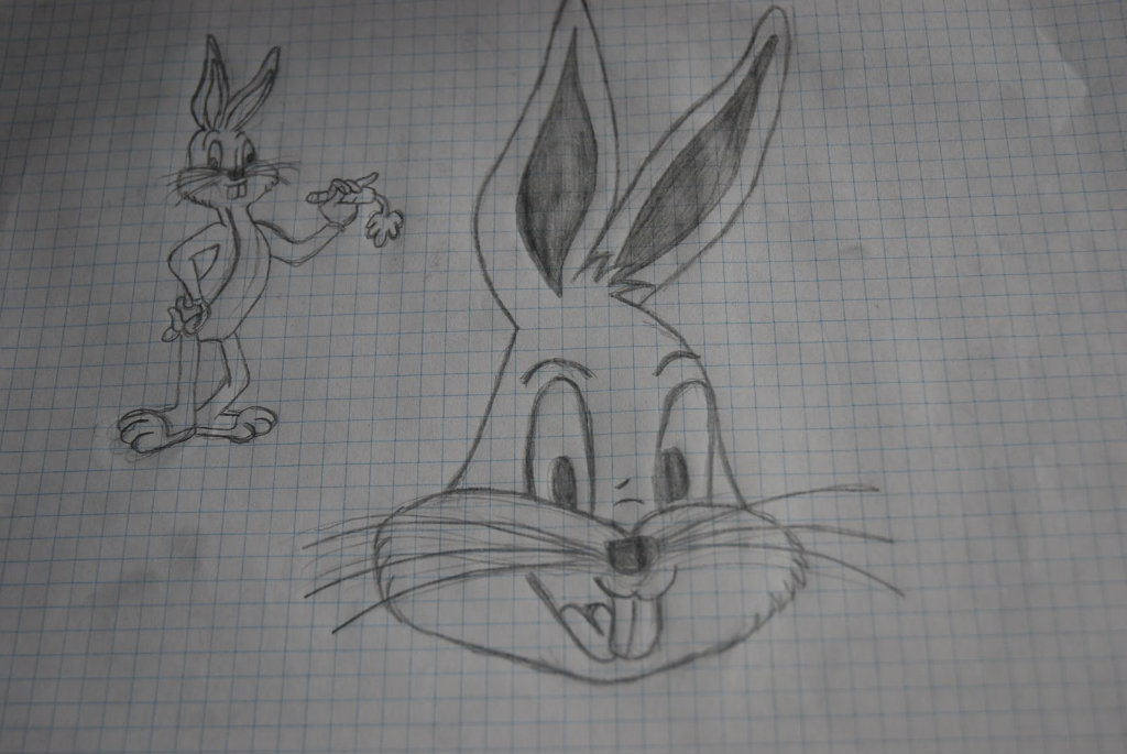 Bugs *__*
