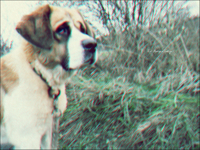 36.