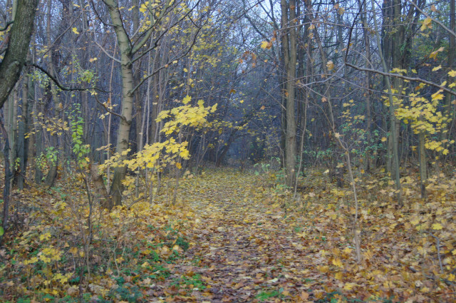 Dziwne.