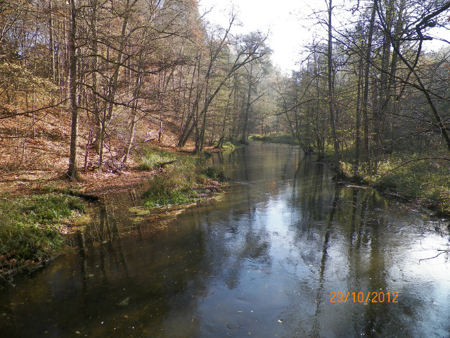 Rzeka yna-Olsztyn