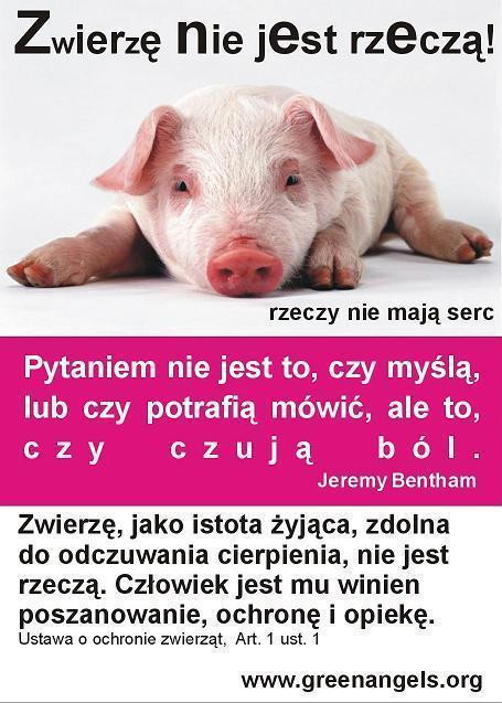 Zmiany