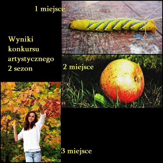 Wyniki artystycznego konkursu