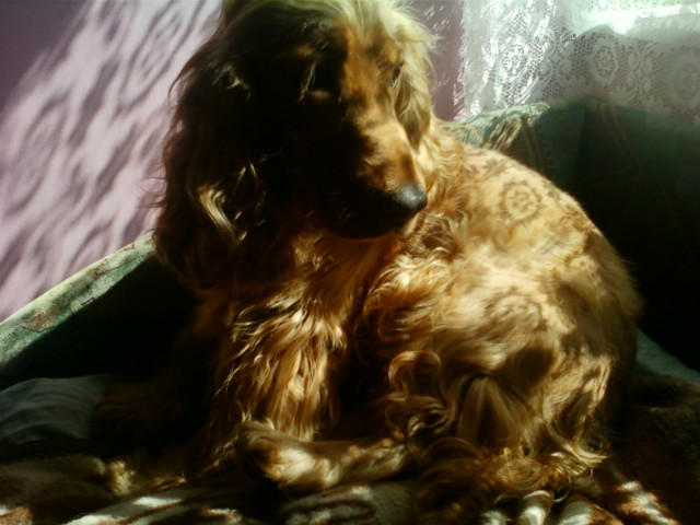 Zuza : 3