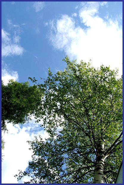 Siedemnacie.