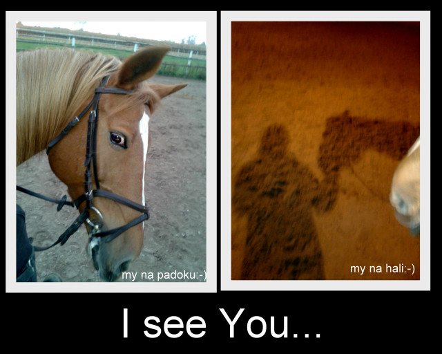 my:-)