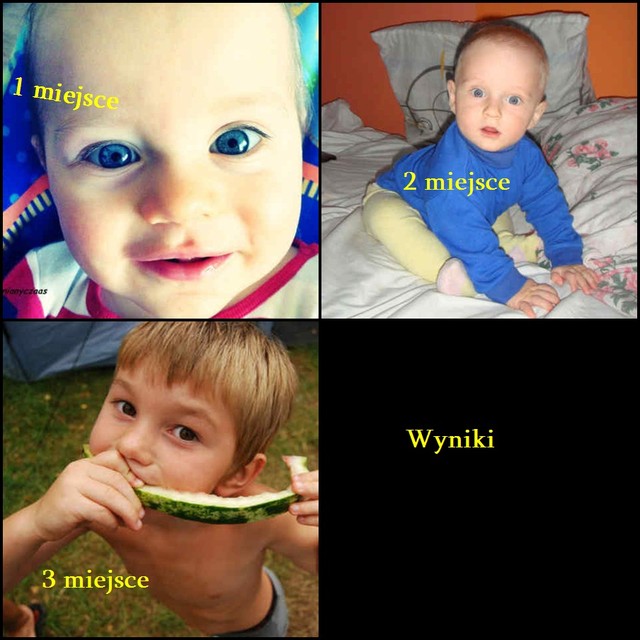 Wyniki maluszkw