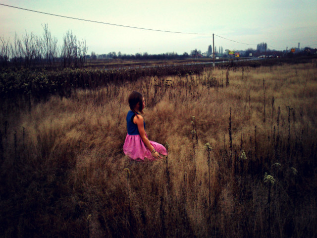 Polee ; >