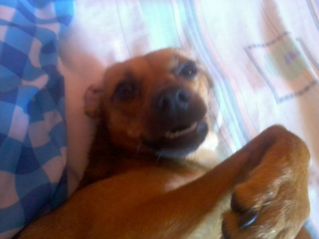 usmiech:))