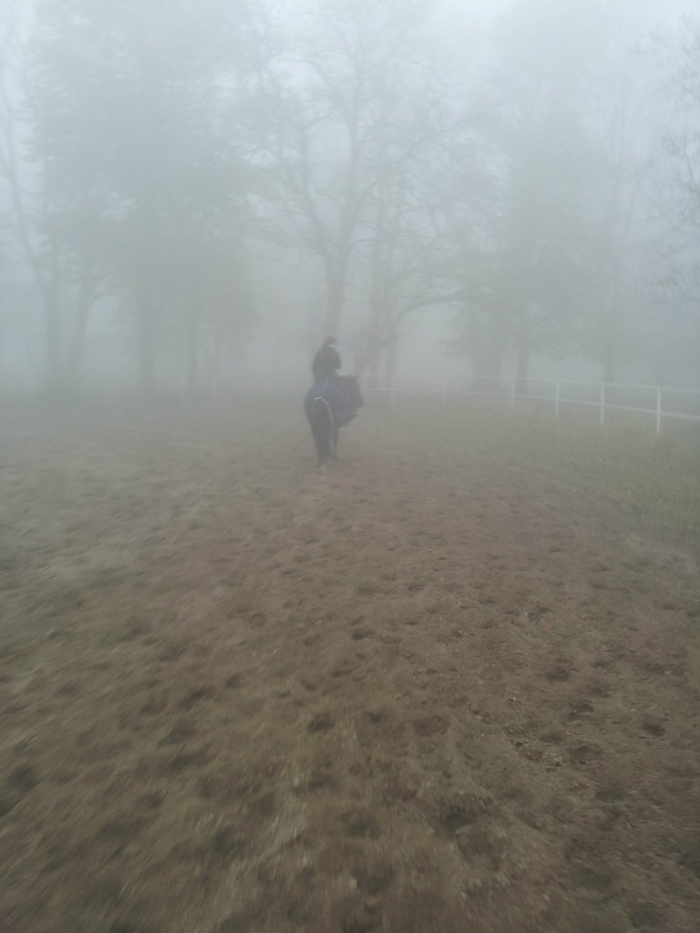Foggy day!