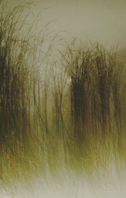 misty day