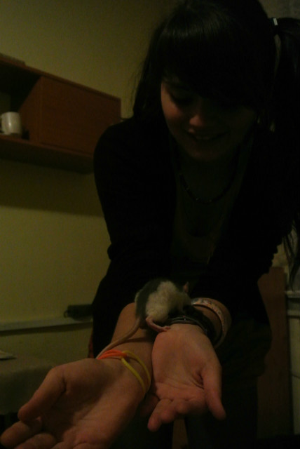 mysia *__*