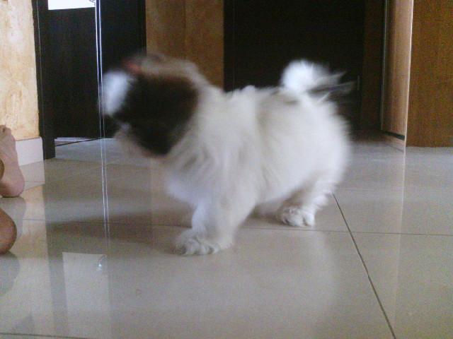 Moli:-P