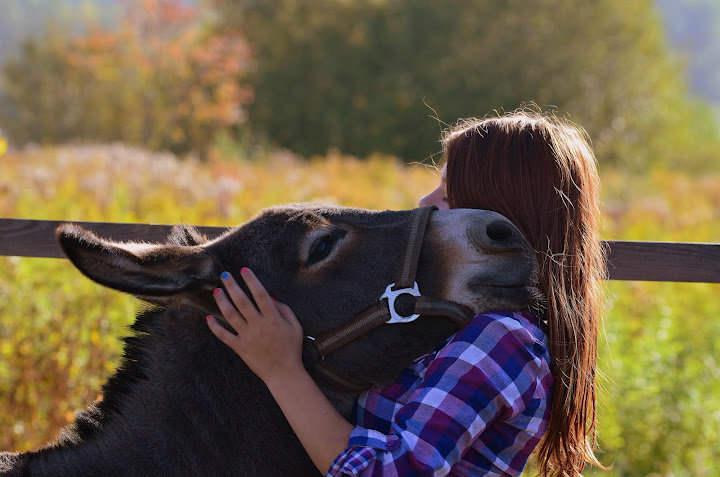 moje . < 3