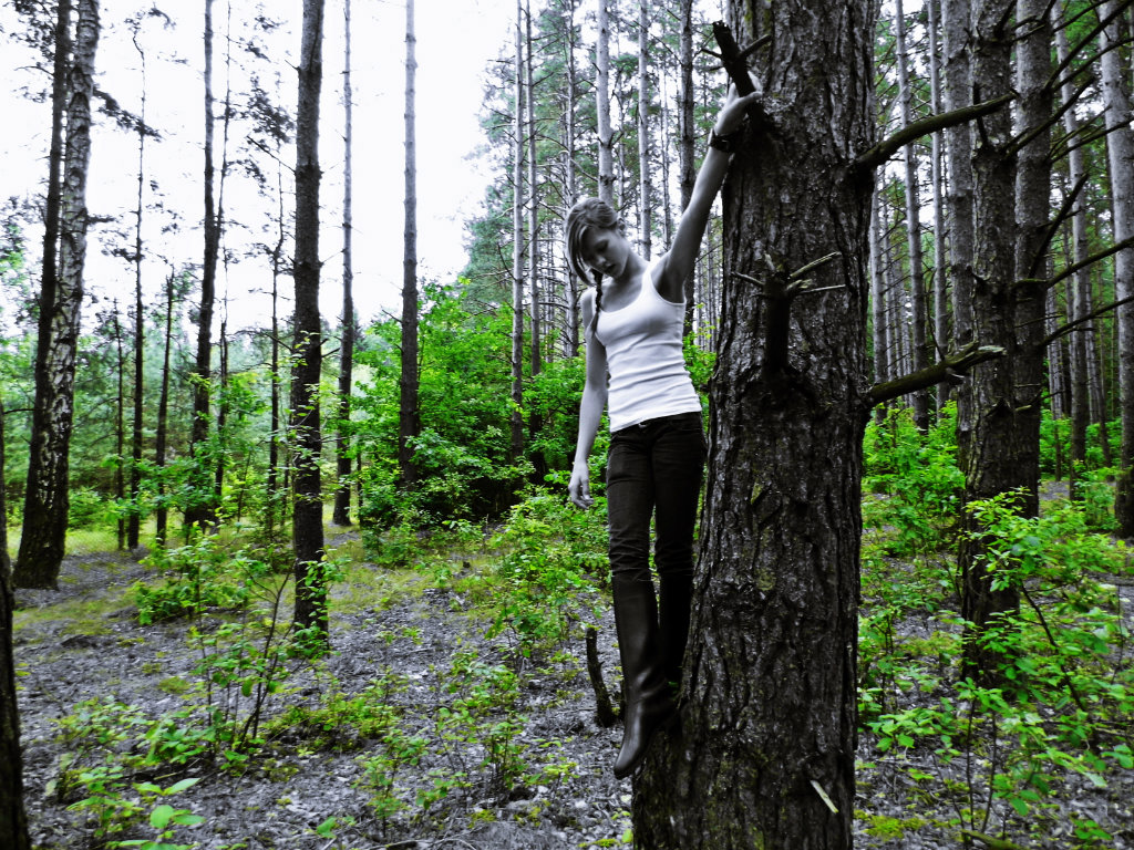 in the forest.