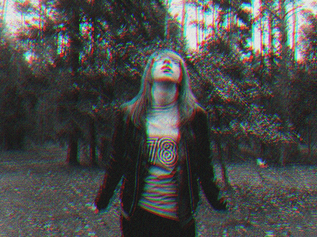 in the forest.