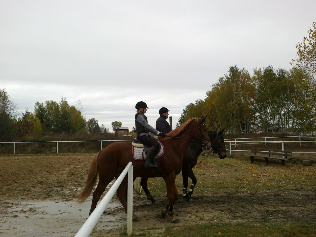 Hubertus w Apollo 2012