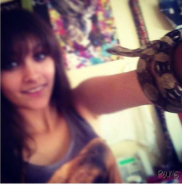snake