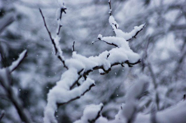 snow.