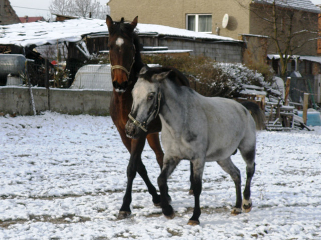 Babsztyle