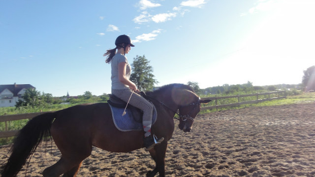mrzeyno '12