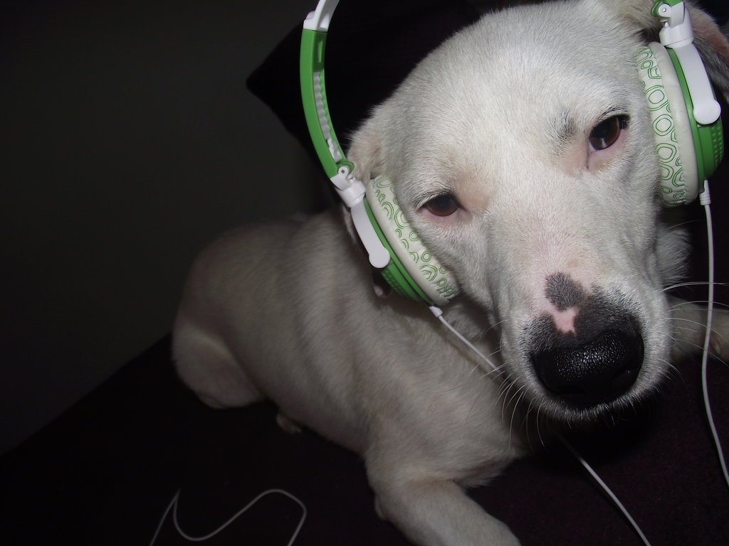 Rexi . ^.^