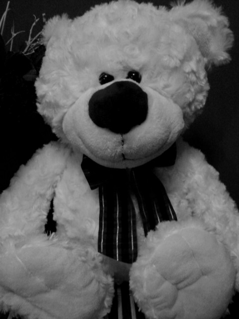 All I want for Christmas....