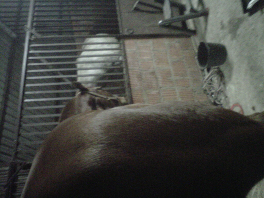 mis