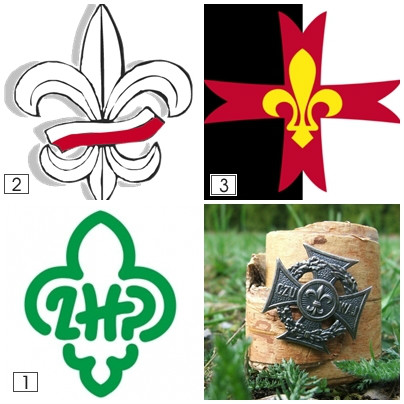 Organizacje Harcerskie w Polsce