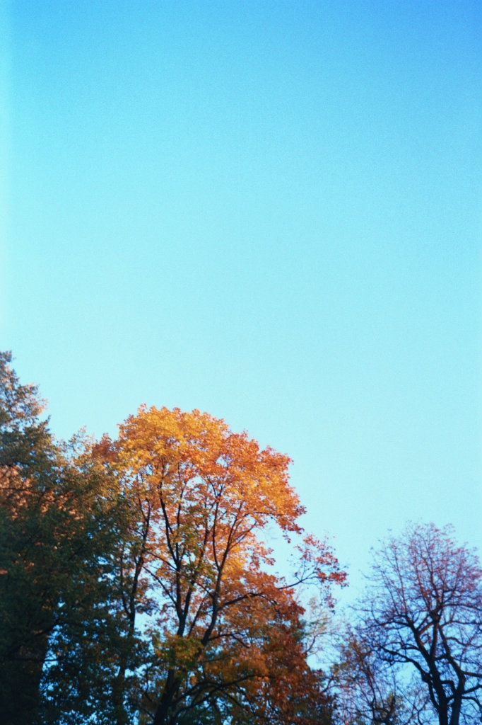 waiting for the sun