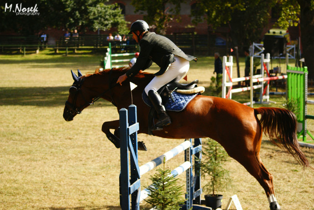 Bodzio i Primera