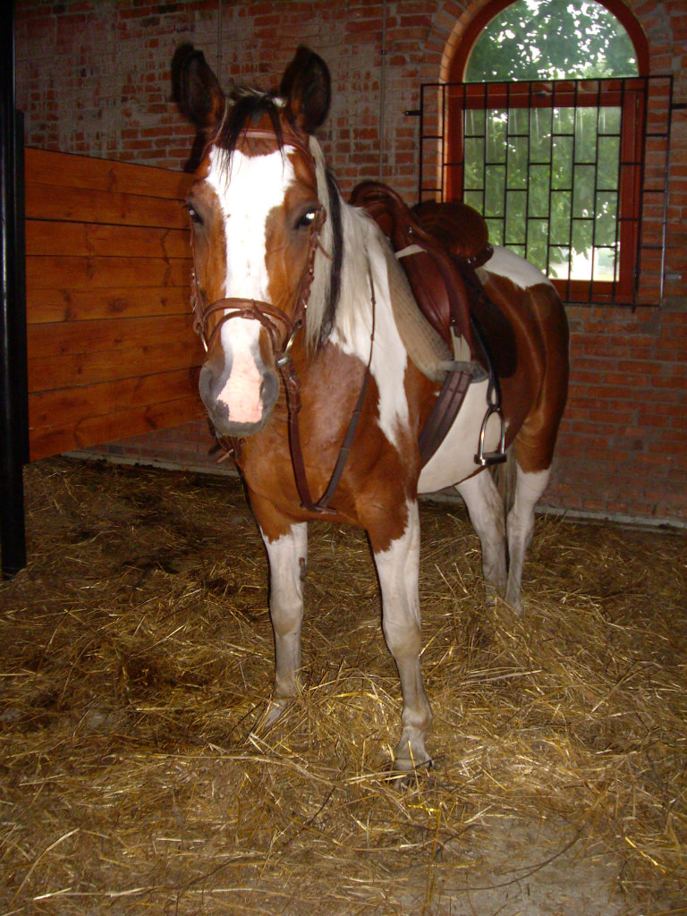 ^^Arba^^