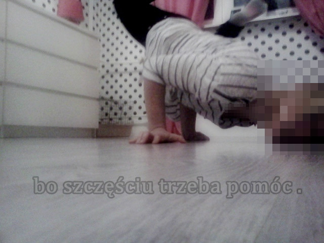 wymiatam , lic podog . 