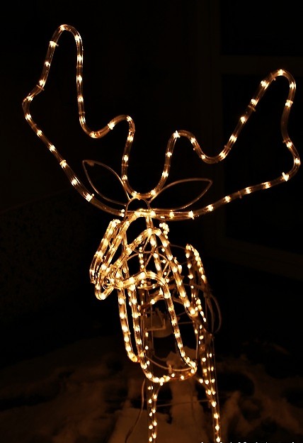 reindeer