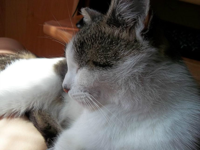 Bella :*