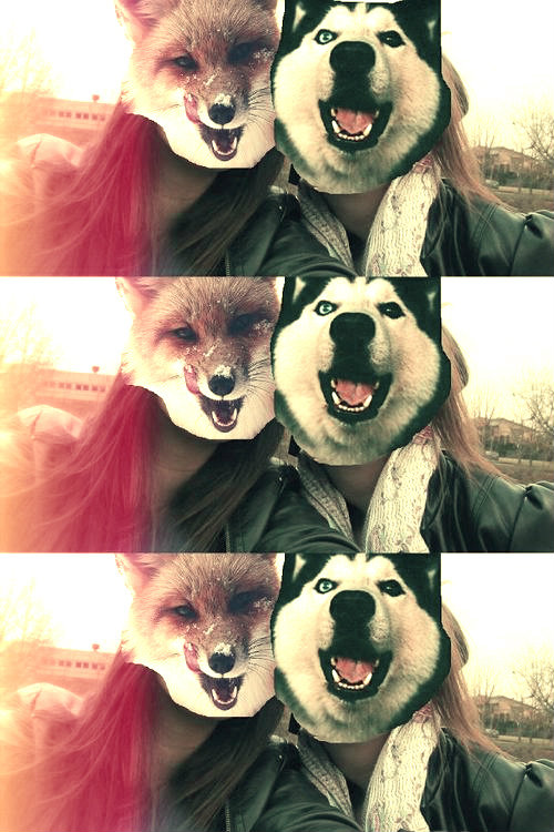 Hi, Doggie- Doggie :D