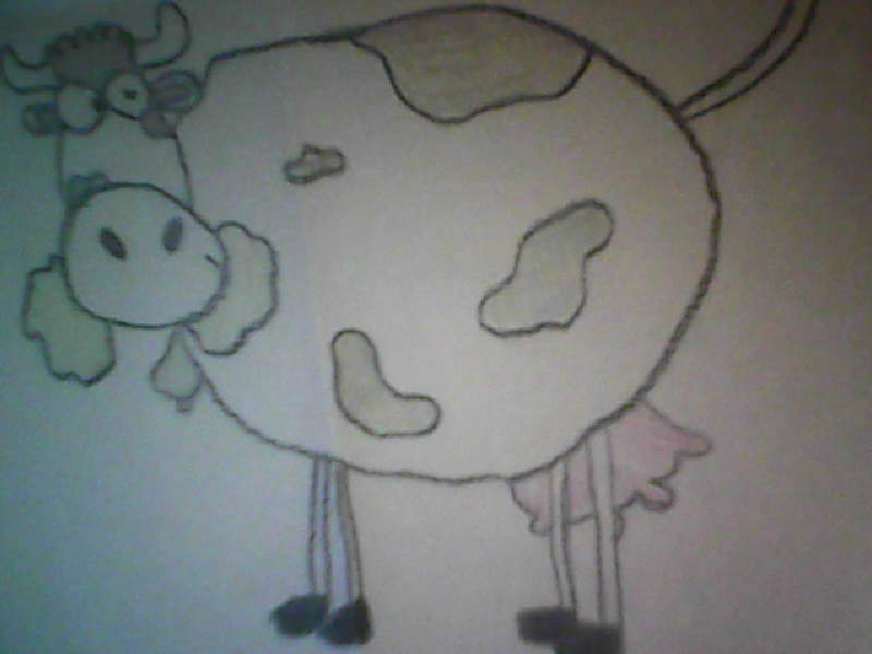 krowa 