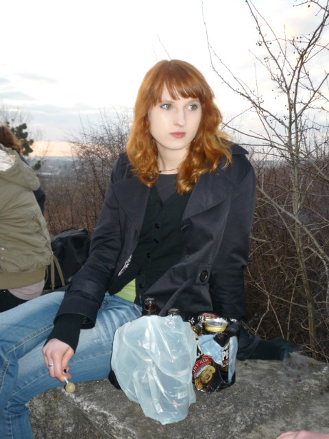 bis 2010
