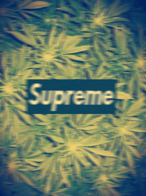 TUMBLR