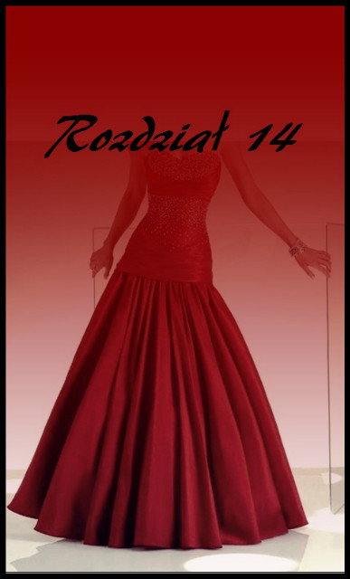 Rozdzia14.