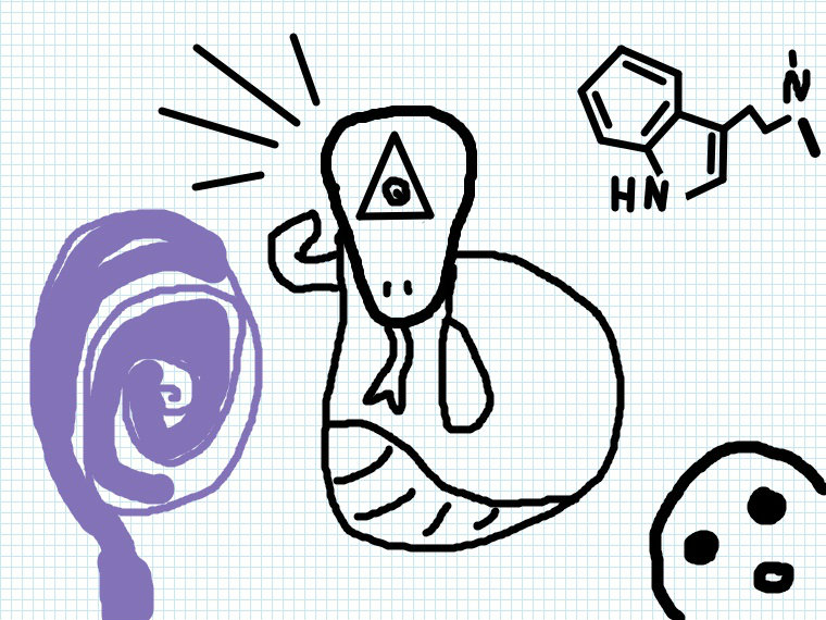 DIMETYLOWONSZ