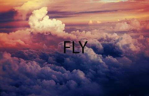 fly