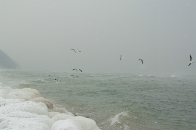 It's winter time...