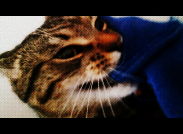 Joker !