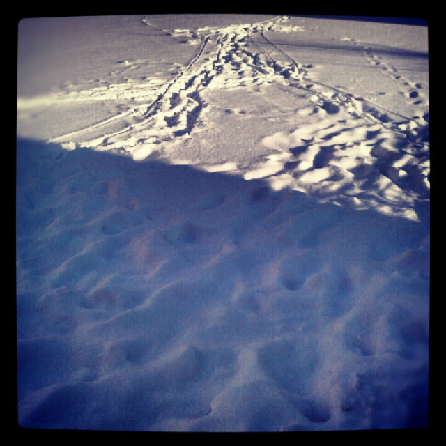 Zima na caego ! mrz i nieg :)
