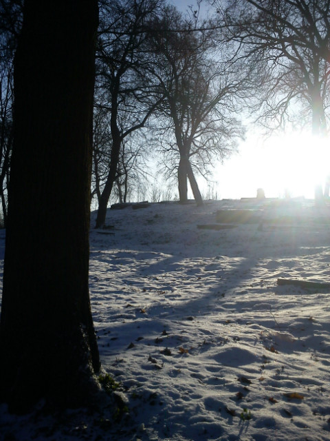 owidzka;p