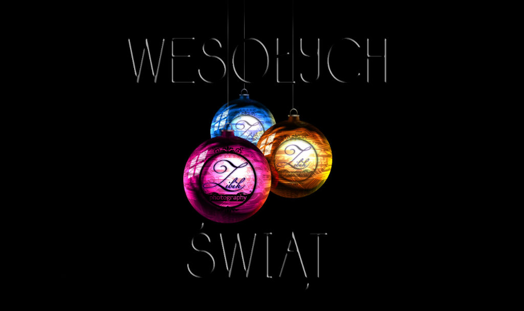 WESOYCH WIT