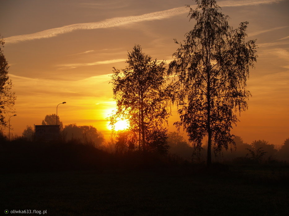 Widoczek