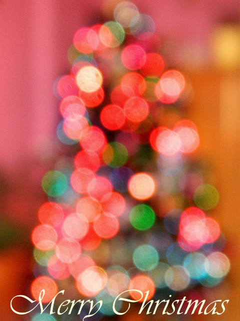 Merry Christmas Everyone 